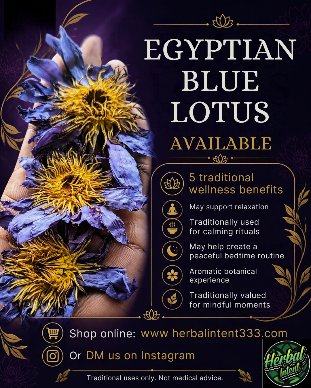 Sacred Ancient Egyptian Blue Lotus — Dried WHOLE Flower